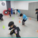 화랑합기도 특공무술 이미지