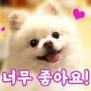 유니온동물의료센터 이미지