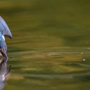 화북면보건지소 이미지