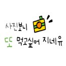 제일피앤피