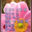 우정과사랑이 가득한 인천.부천모임.토요일 이미지