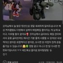 레드복싱 | [종각복싱, 종로복싱]후기로 증명하는 복싱체육관