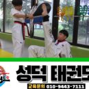 성덕태권도 네이버블로그