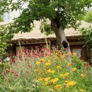 박용철 전집 시집 이미지