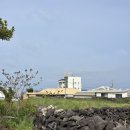 GS25 한림옹포점 이미지