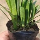 통화농장2 이미지