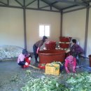 신흥마을영농조합법인 이미지