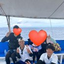 디프리투어 이미지