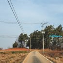 창동양계장 이미지