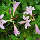 (주)알푸스 이미지