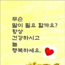 꿀잠 이미지