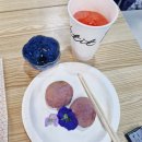 (주)다울푸른도장 | 사람의 목소리를 빌린 푸른 눈의 낙뢰야