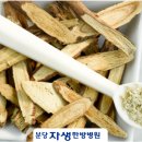 감초한방병원 이미지