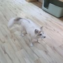 여우성베이커리 | 또전에 가다