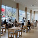 중앙로286 | [전북 고창 카페추천] 대형 베이커리 카페 트이어 방문 후기