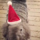 코끼리PC방 이미지