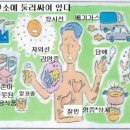 라파엘의원 이미지