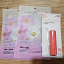 경기 | [공지] 처음 가본 '핸드볼 경기' 직관 후기 (가성비 짱!!)