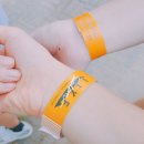 콘서트 일대기