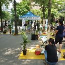 생활원예(반려식물) 이미지