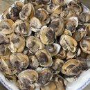 역전꼬막 | 벌교꼬막 새꼬막 벌교가볼만한곳 신선한 해산물 역전꼬막 후기