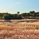 (주)성서유통 이미지