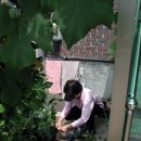 국환농장 이미지