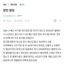 장인 장모가 나 빼고 킹크랩 먹었어 이미지