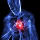 가든갤러리 이미지