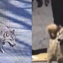 씨제이웰 주식회사 이미지