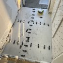 미성아파트 | 홍은동 미성아파트 인테리어 타일 시공 후기 ㅣ 실거주 만족도 높은 리모델링