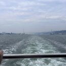 깔롱멍멍 | [울산 가볼만한 곳 / 울산 데이트 놀거리] 고래바다여행선 돌고래 탐사선 예약 할인 가격 준비물