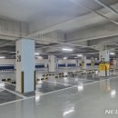 주정차116 뉴시스