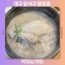 백제옻녹두삼계 | 대구 달서구 삼계탕 맛집 몸보신에 좋은 백제삼계탕 메뉴추천 주차