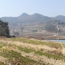 중리소류지 네이버블로그