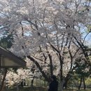 살롱쥬
