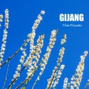 한주 꿀벌 농장 | 기장 매화원 주차 개화 상황 부산 매화 명소 봄꽃구경 후기