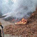 밀양농협주유소 이미지