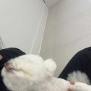위드스테이부산 이미지