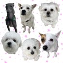 중부대로 1262번길5 | [일상] 2월 3주차 - 설날, 20대 마지막 생일, 잠실 아쿠아리움, 세이류, 첫인사