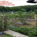 백현동 소로10 네이버블로그
