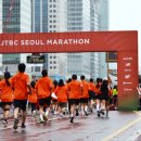 북측광장화장실(장애인포함) | 2025 JTBC 서울 마라톤 코스 10km 출발시간 기념품 주차 일정 총정리!