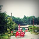 숲속건강나라 이미지