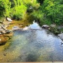 자매민박 이미지