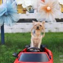 무프스 유치원 이미지