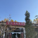 광주가든 | 수레실가든 | 광주 오리고기 삼겹살 맛집 예약 내돈내산 후기