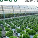 소매농장 이미지