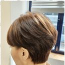 로이드밤헤어 이미지