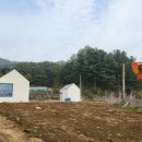 따듯한오후 낮잠소리 이미지