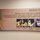 칼질천번 이미지